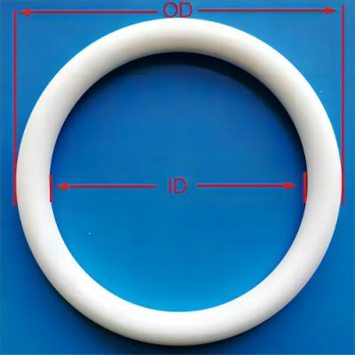 PTFE O-rings