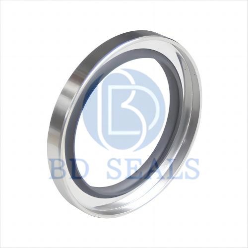 Dual Lip PTFE Oil Seals Stainless Steel Seal
